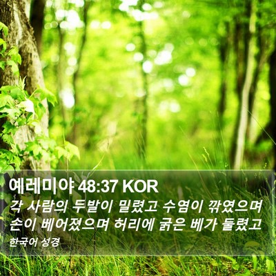 예레미야 48:37 KOR Bible Verse Image