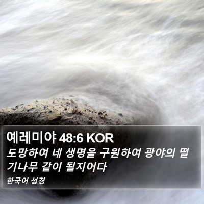 예레미야 48:6 KOR Bible Verse Image