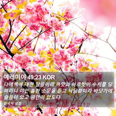 예레미야 49:23 KOR Bible Verse Image