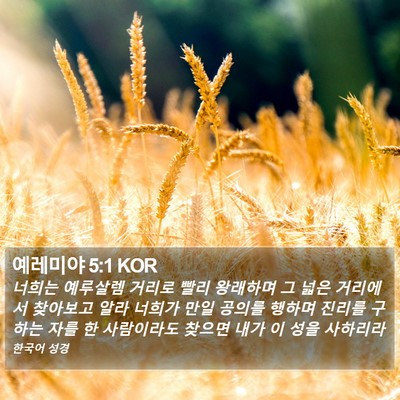 예레미야 5:1 KOR Bible Verse Image