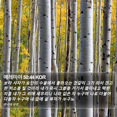 예레미야 50:44 KOR Bible Verse Image