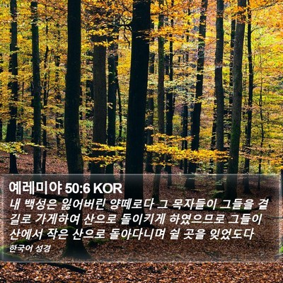 예레미야 50:6 KOR Bible Verse Image