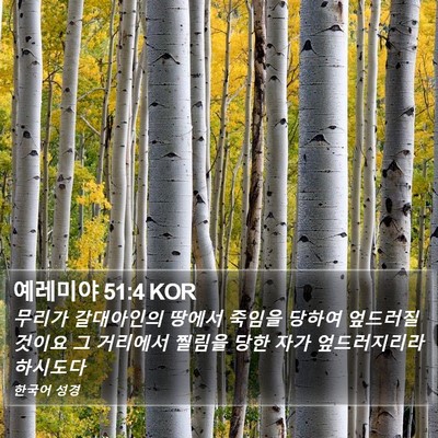 예레미야 51:4 KOR Bible Verse Image