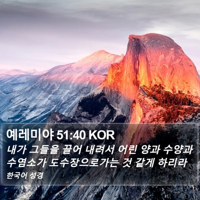 예레미야 51:40 KOR Bible Verse Image