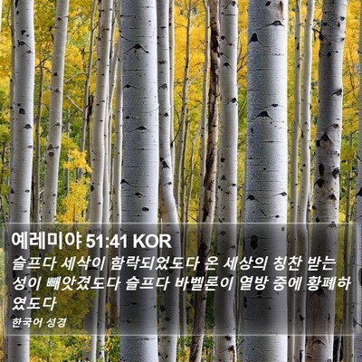 예레미야 51:41 KOR Bible Verse Image