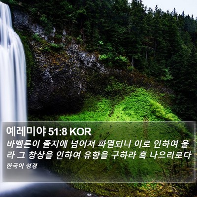 예레미야 51:8 KOR Bible Verse Image