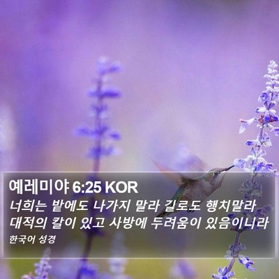 예레미야 6:25 KOR Bible Verse Image