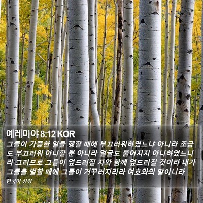 예레미야 8:12 KOR Bible Verse Image