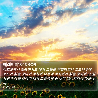예레미야 8:13 KOR Bible Verse Image