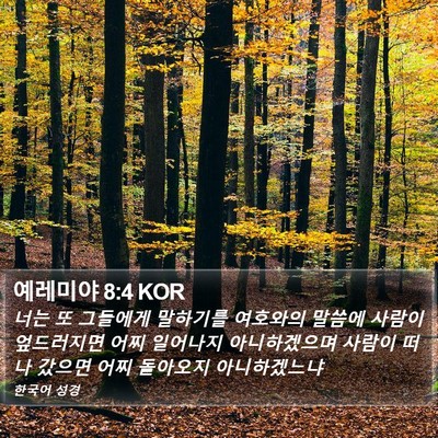 예레미야 8:4 KOR Bible Verse Image