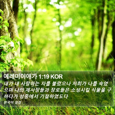 예레미야애가 1:19 KOR Bible Verse Image
