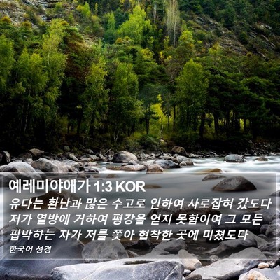 예레미야애가 1:3 KOR Bible Verse Image