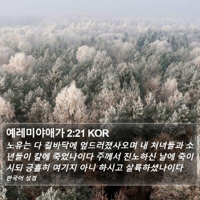 예레미야애가 2:21 KOR Bible Verse Image