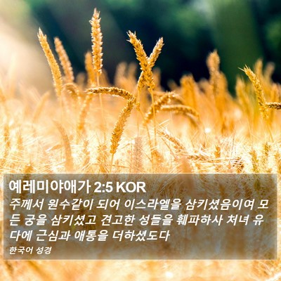 예레미야애가 2:5 KOR Bible Verse Image