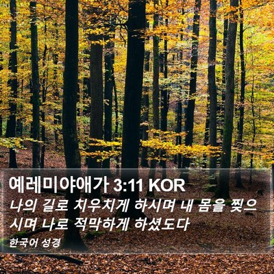 예레미야애가 3:11 KOR Bible Verse Image