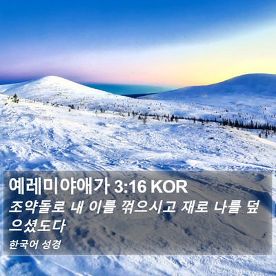예레미야애가 3:16 KOR Bible Verse Image