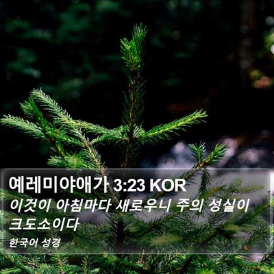 예레미야애가 3:23 KOR Bible Verse Image