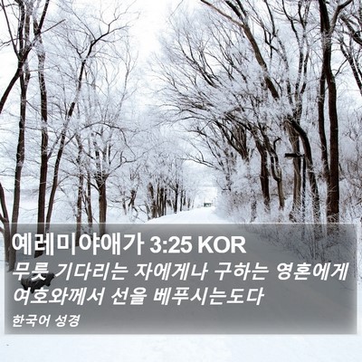 예레미야애가 3:25 KOR Bible Verse Image