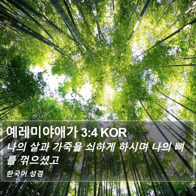 예레미야애가 3:4 KOR Bible Verse Image