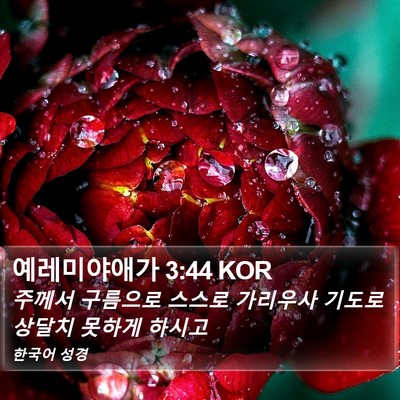 예레미야애가 3:44 KOR Bible Verse Image