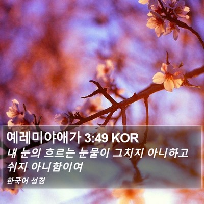 예레미야애가 3:49 KOR Bible Verse Image