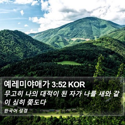 예레미야애가 3:52 KOR Bible Verse Image