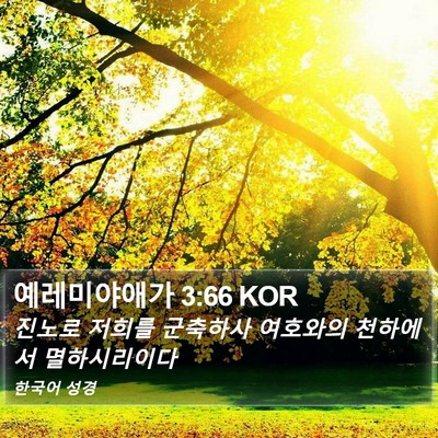 예레미야애가 3:66 KOR Bible Verse Image