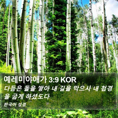 예레미야애가 3:9 KOR Bible Verse Image