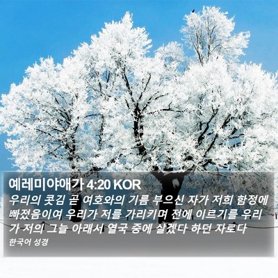 예레미야애가 4:20 KOR Bible Verse Image