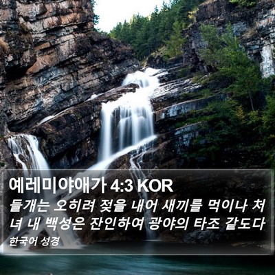 예레미야애가 4:3 KOR Bible Verse Image