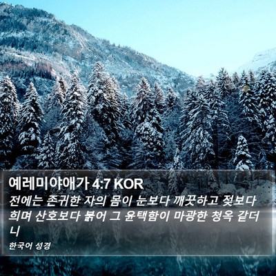 예레미야애가 4:7 KOR Bible Verse Image