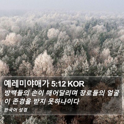 예레미야애가 5:12 KOR Bible Verse Image