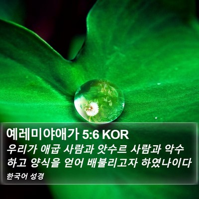 예레미야애가 5:6 KOR Bible Verse Image