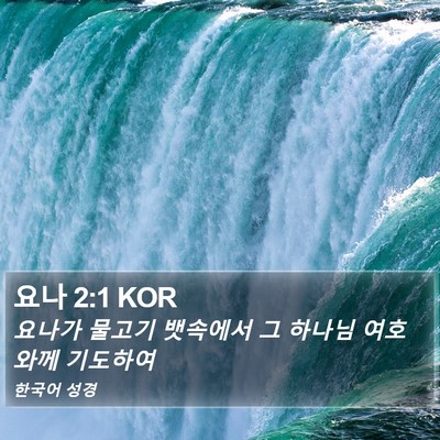 요나 2:1 KOR Bible Verse Image