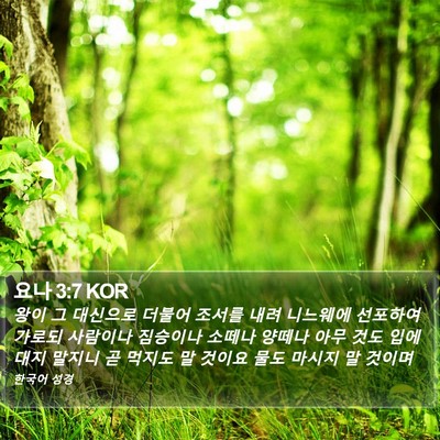 요나 3:7 KOR Bible Verse Image