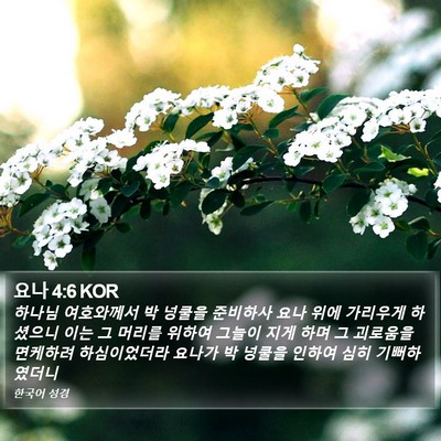 요나 4:6 KOR Bible Verse Image