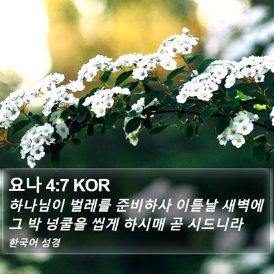 요나 4:7 KOR Bible Verse Image