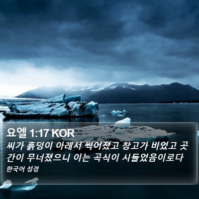 요엘 1:17 KOR Bible Verse Image