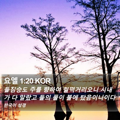 요엘 1:20 KOR Bible Verse Image