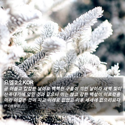 요엘 2:2 KOR Bible Verse Image