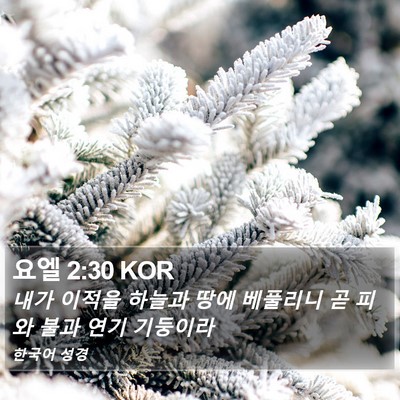 요엘 2:30 KOR Bible Verse Image