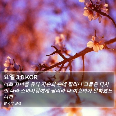 요엘 3:8 KOR Bible Verse Image