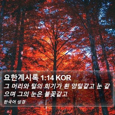 요한계시록 1:14 KOR Bible Verse Image