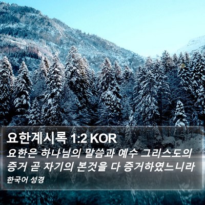 요한계시록 1:2 KOR Bible Verse Image