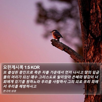 요한계시록 1:5 KOR Bible Verse Image
