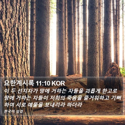 요한계시록 11:10 KOR Bible Verse Image