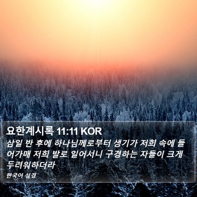 요한계시록 11:11 KOR Bible Verse Image
