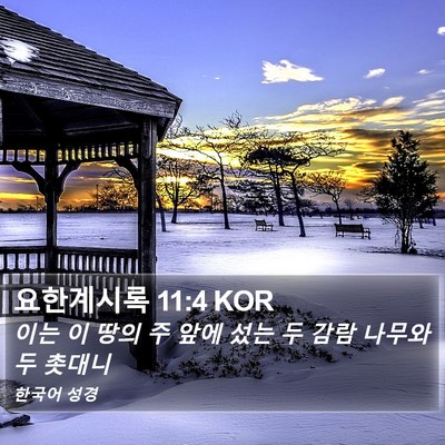 요한계시록 11:4 KOR Bible Verse Image