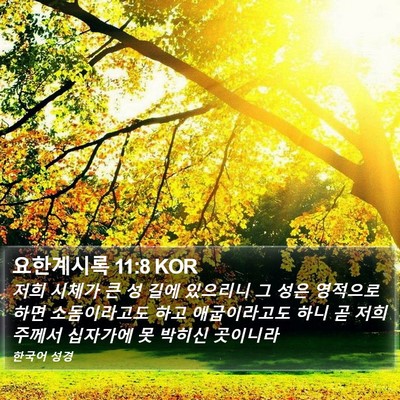 요한계시록 11:8 KOR Bible Verse Image