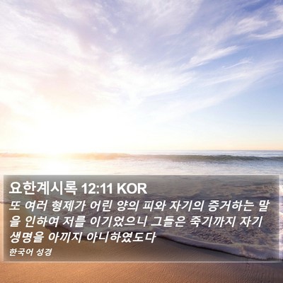 요한계시록 12:11 KOR Bible Verse Image